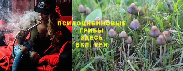круглые Аркадак