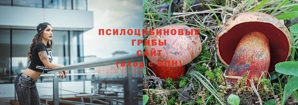 стаф Балабаново