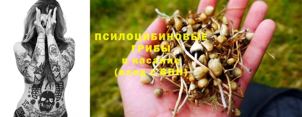ешки Армянск