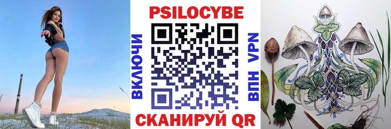 Псилоцибиновые грибы мицелий  где найти наркотики  Геленджик 